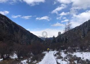 步入中年还能裸辞吗？游戏画面