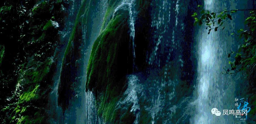 除虫大师
